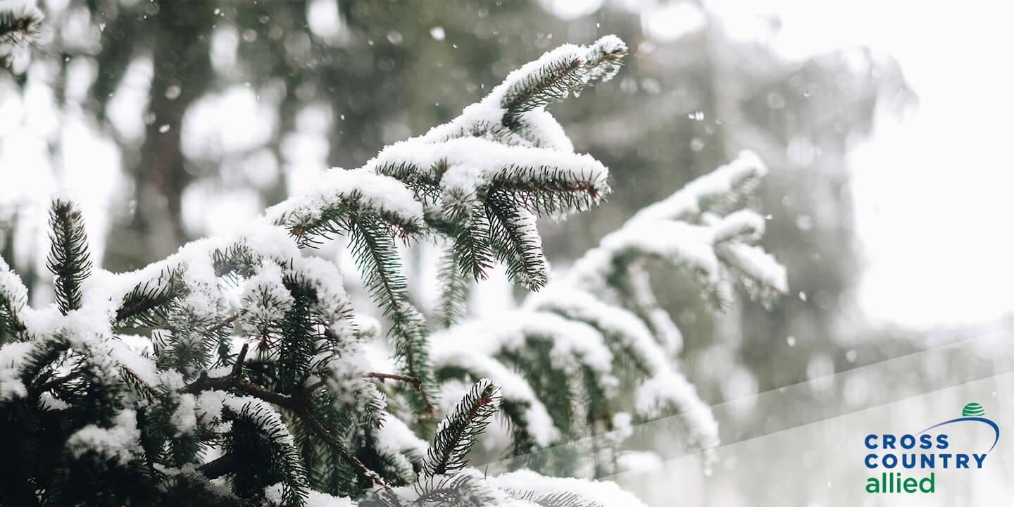 Like the Snow? These Locations are Great for Medical Techs in the Winter Months